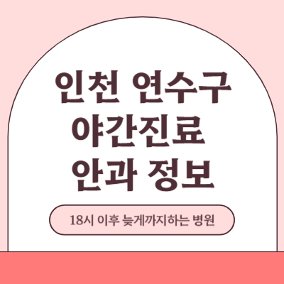 인천 연수구 야간진료 안과 병원 (18시 이후 늦게까지하는 병원)