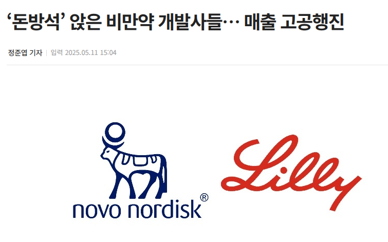 ‘돈방석’ 앉은 비만약 개발사들… 매출 고공행진