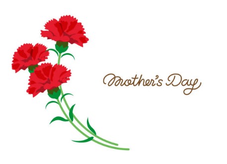 어버이날 카네이션 이미지