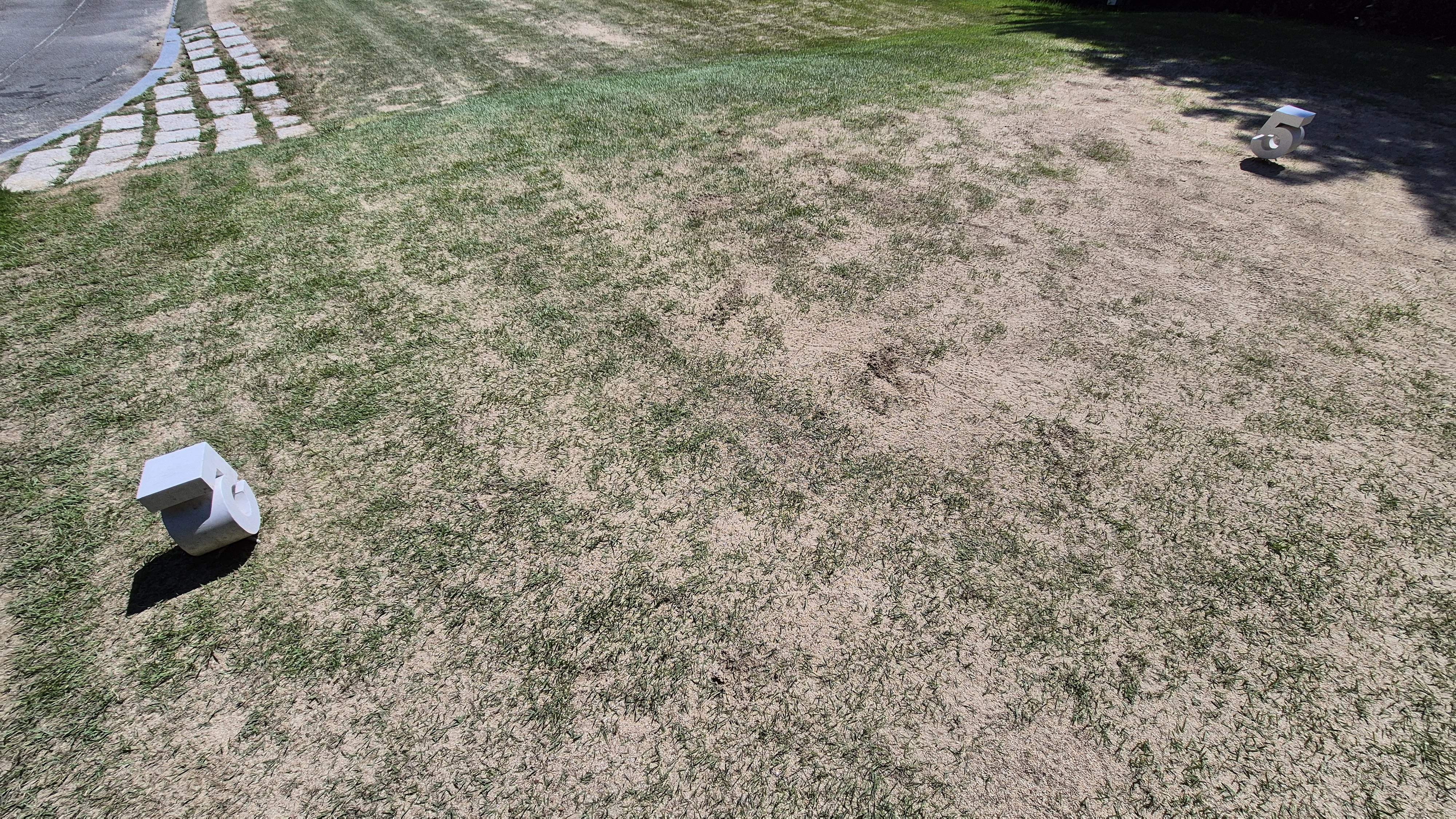 골프존카운티 화랑 라운드 후기