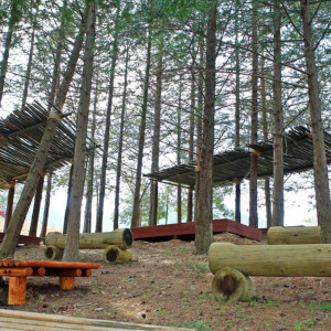솔티숲 옛길 코스