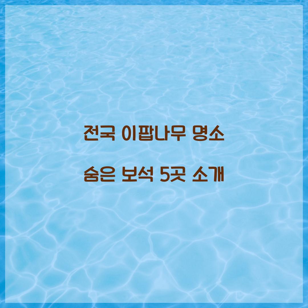 전국 이팝나무 명소