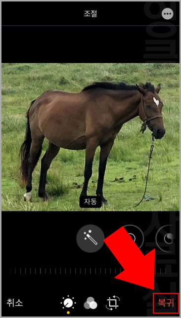 아이폰 사진 복구