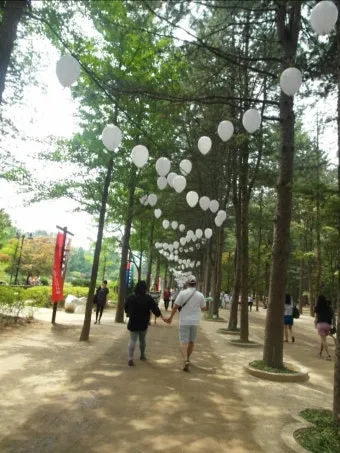 남이섬 여행 코스 배시간 산책루트 가평 카페까지 알찬 당일치기_15