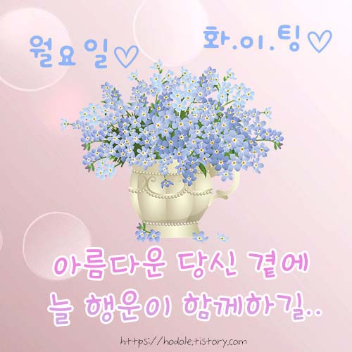 행운이-함께하길