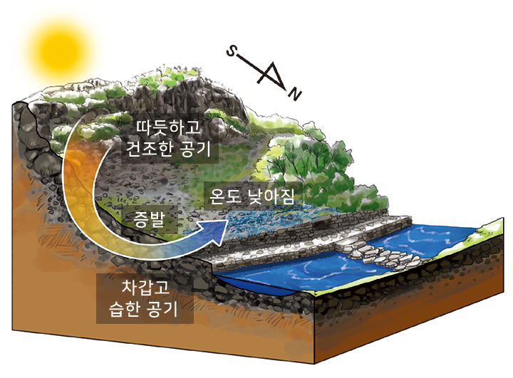 생성원리 일러스트