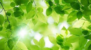 도시가스 절약하고 캐시백 받는 신청방법