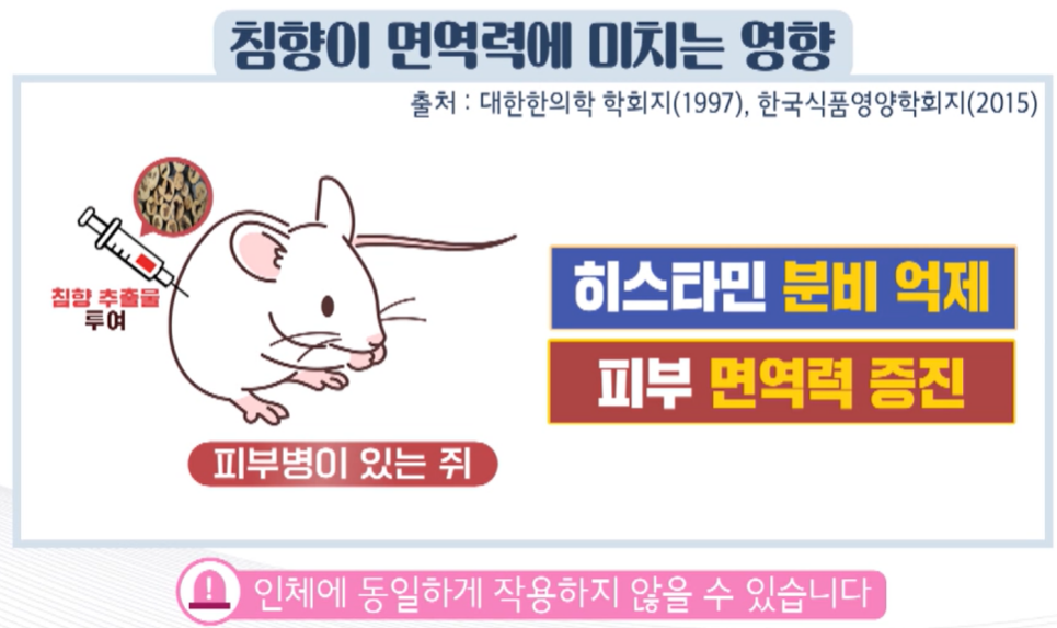 침향환 효능