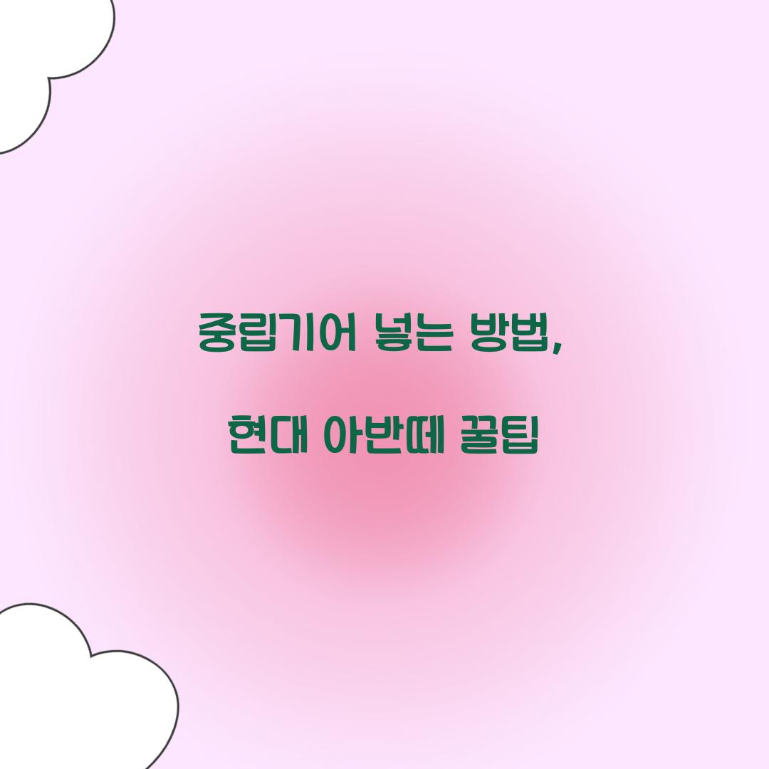 중립기어 넣는 방법