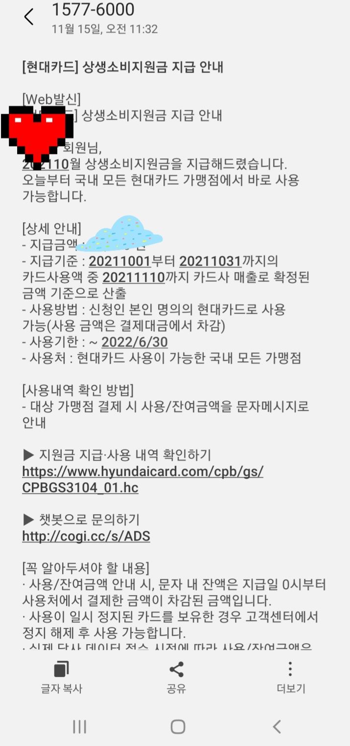 10월 상생소비지원금 문자