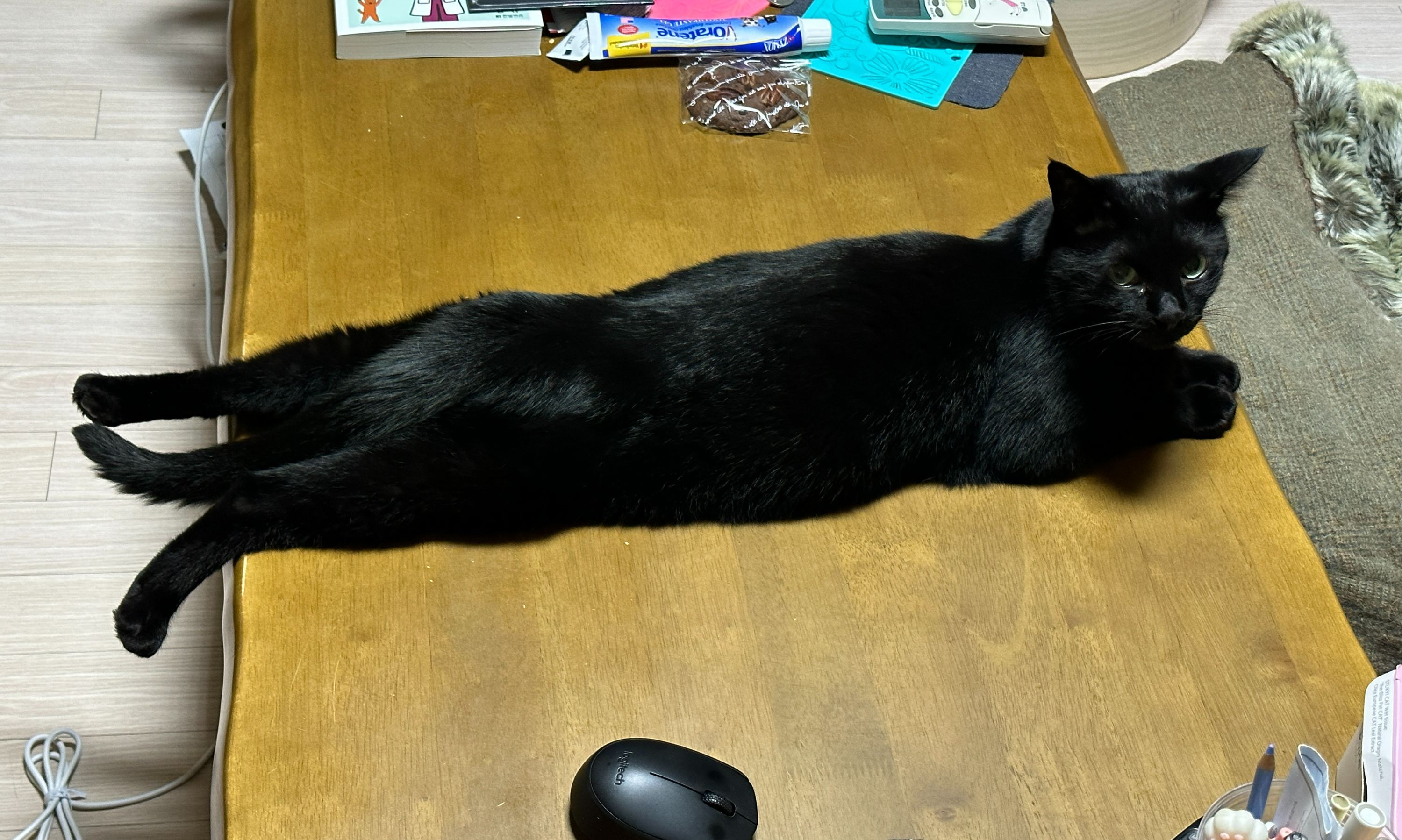 사냥놀이후에_테이블_위에_대짜로_뻗어버린_건이