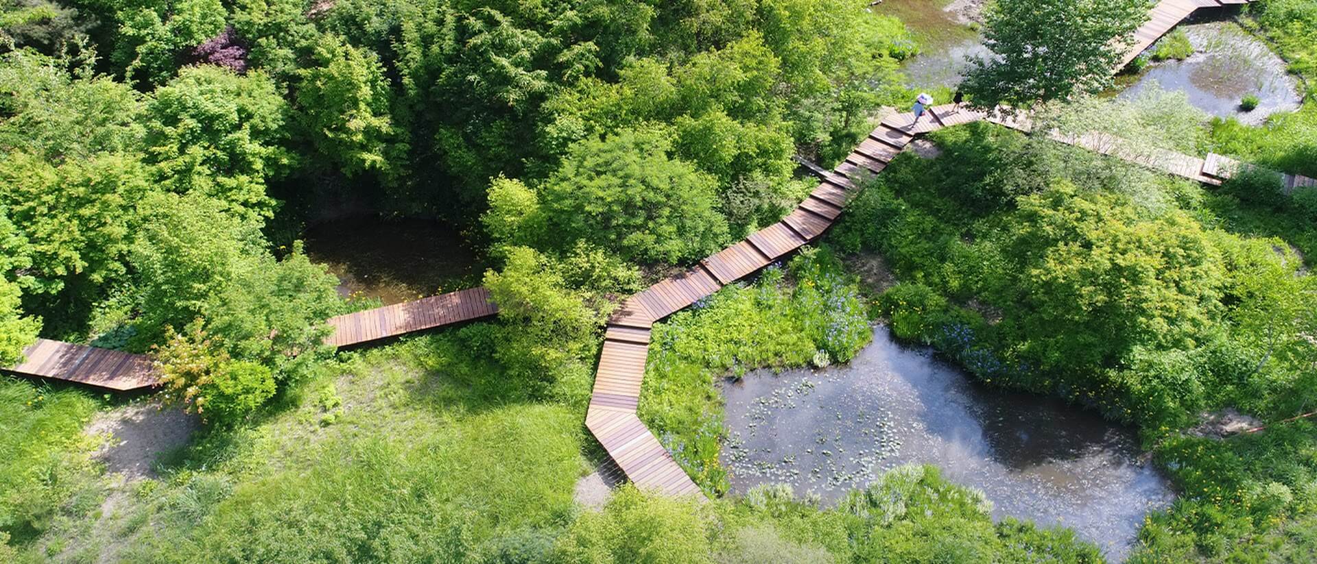 경기도 포천 평강랜드 수국