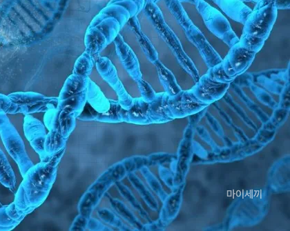 마에스트라 유전병 헌팅턴병 차세음 엄마병 증상 원인 치료방법