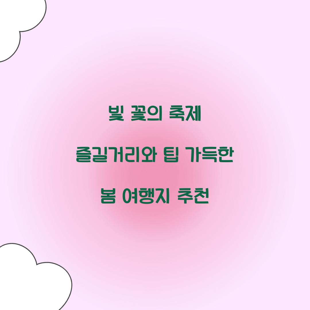 빛 꽃의 축제