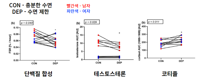 수면부족과 호르몬 변화와 단백질합성