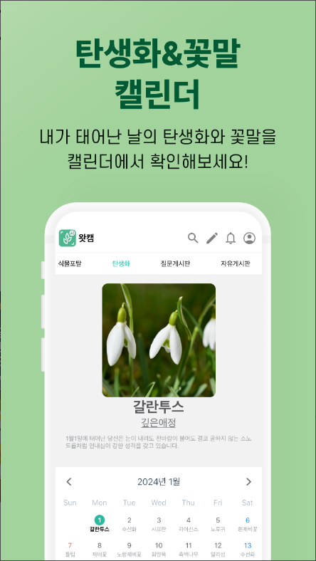왓캠, 꽃 이름 찾기 어플, 꽃 사진으로 꽃 이름 찾아보기