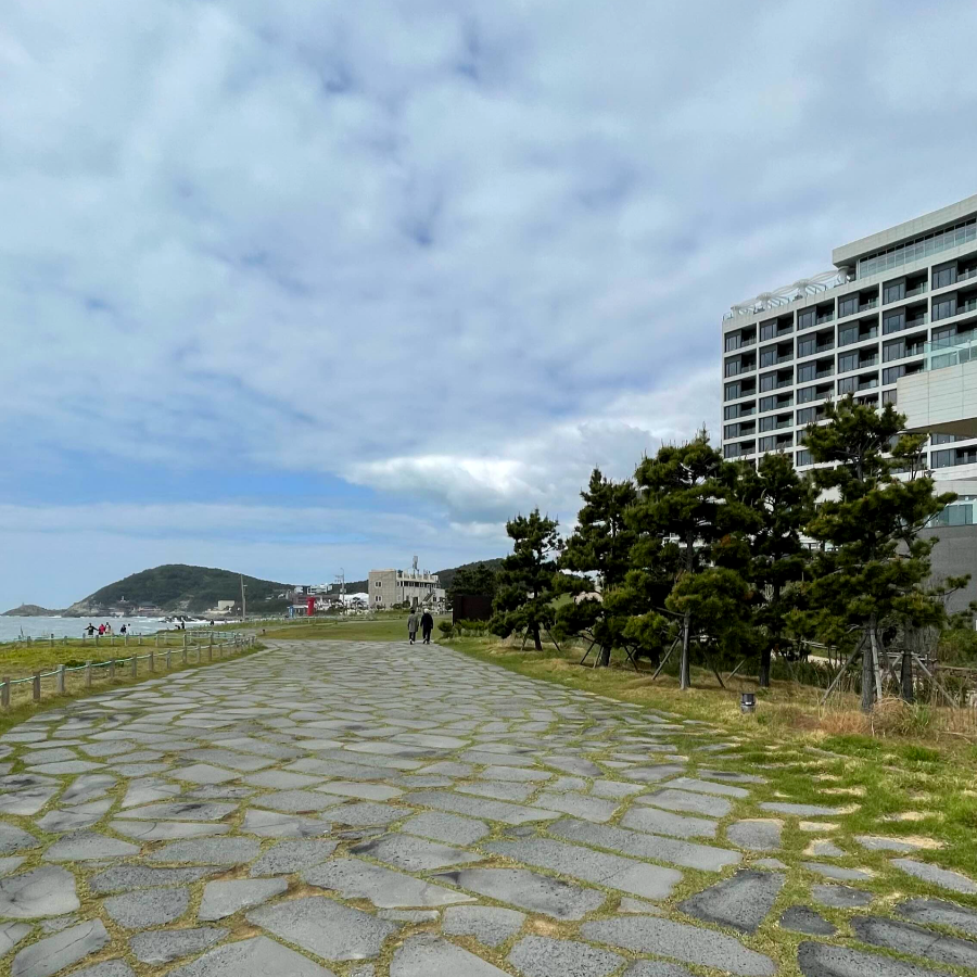 기장 아난티 앳 부산 코브 아침산책3