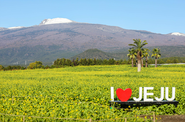 봄꽃구경 가볼만한 곳