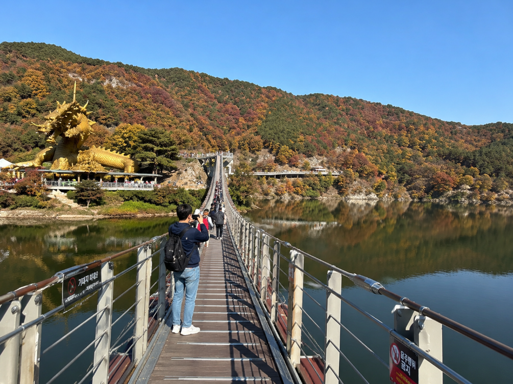 충남 청양 천장호 출렁다리 호수 위 다리와 단풍, 황룡 조형물 풍경