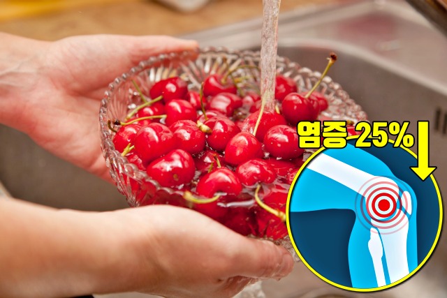 관절염에 좋은 음식 체리 효능