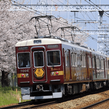 한큐 기차가 벗꽃길을 달리는 모습