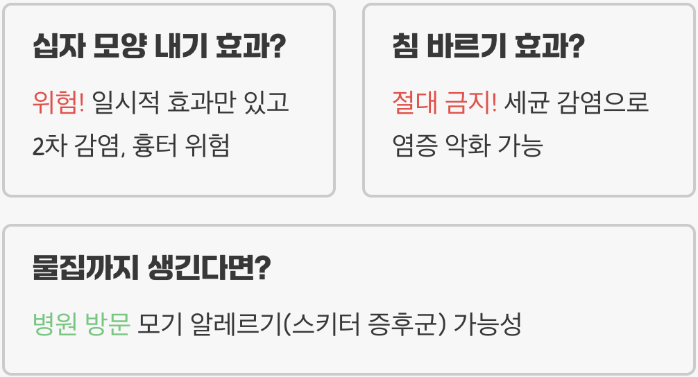 모기물렸을때 피부가 가렵고 붓는 이유, 인체 반응 메커니즘 총정리