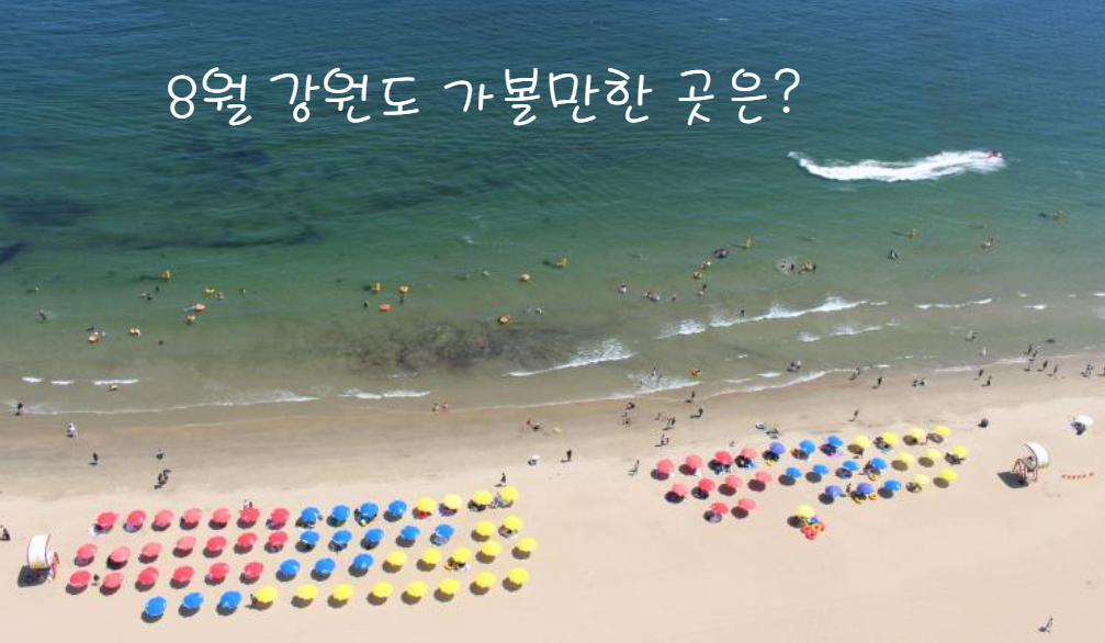 8월 강원도 가볼만한 곳 추천(주소)