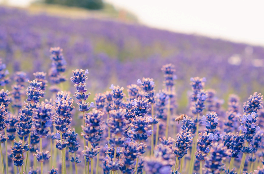 [디지털 미니멀리즘 입문 시리즈 ③] 디지털 미니멀리즘이 필요한 삶의 순간들 &ndash; 일상 속 신호를 인식하는 법