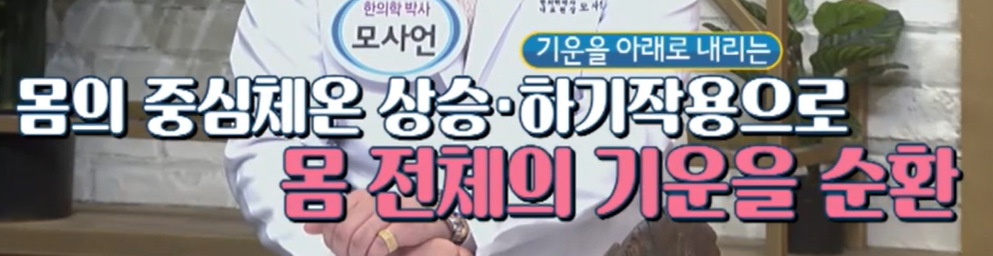 침향환 효능