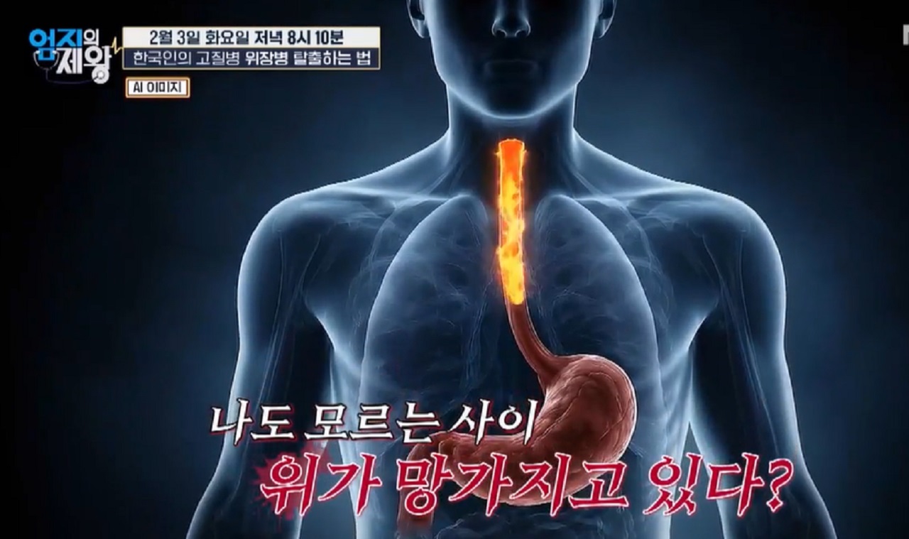 위장병-매스틱-유산균