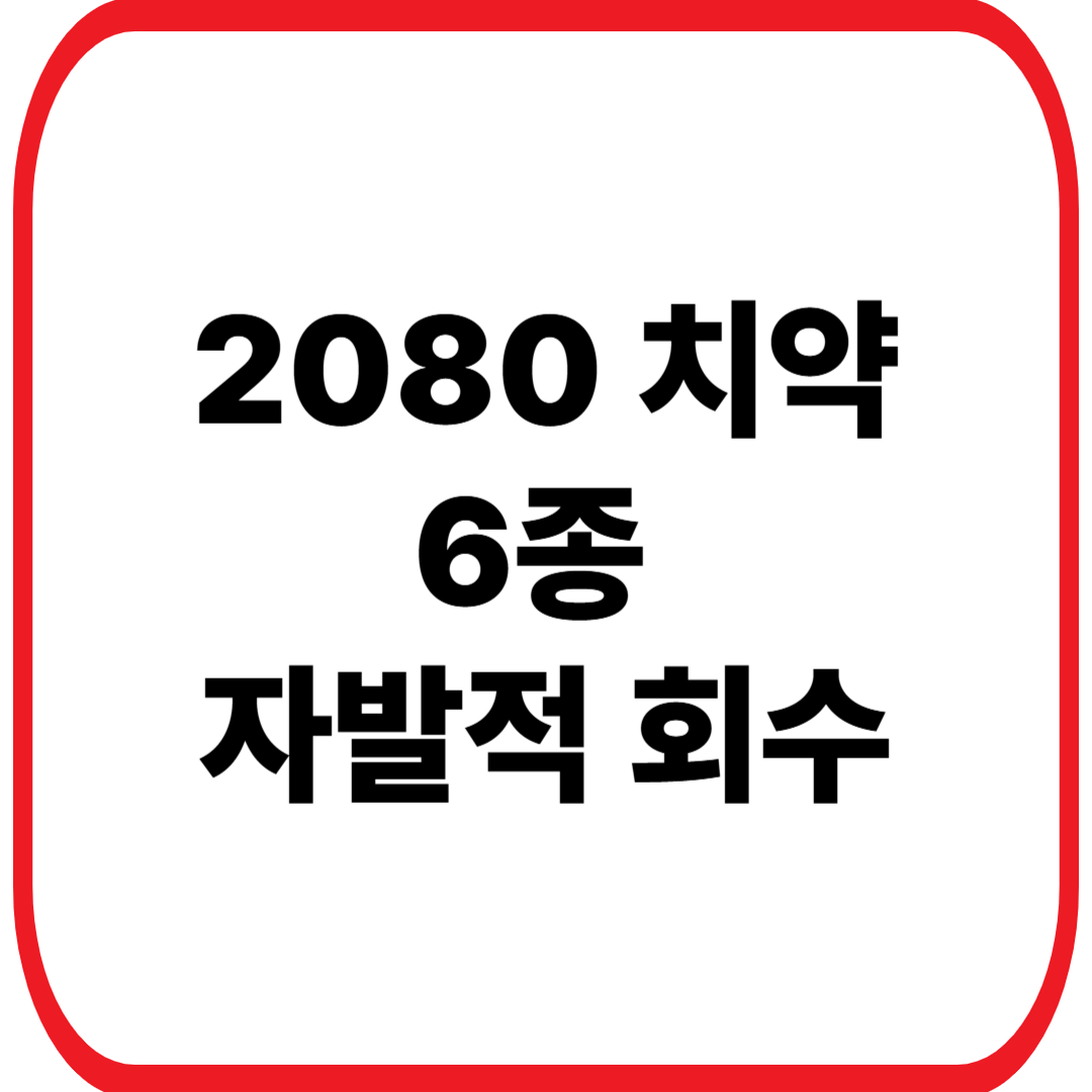 2080 치약 회수 총정리