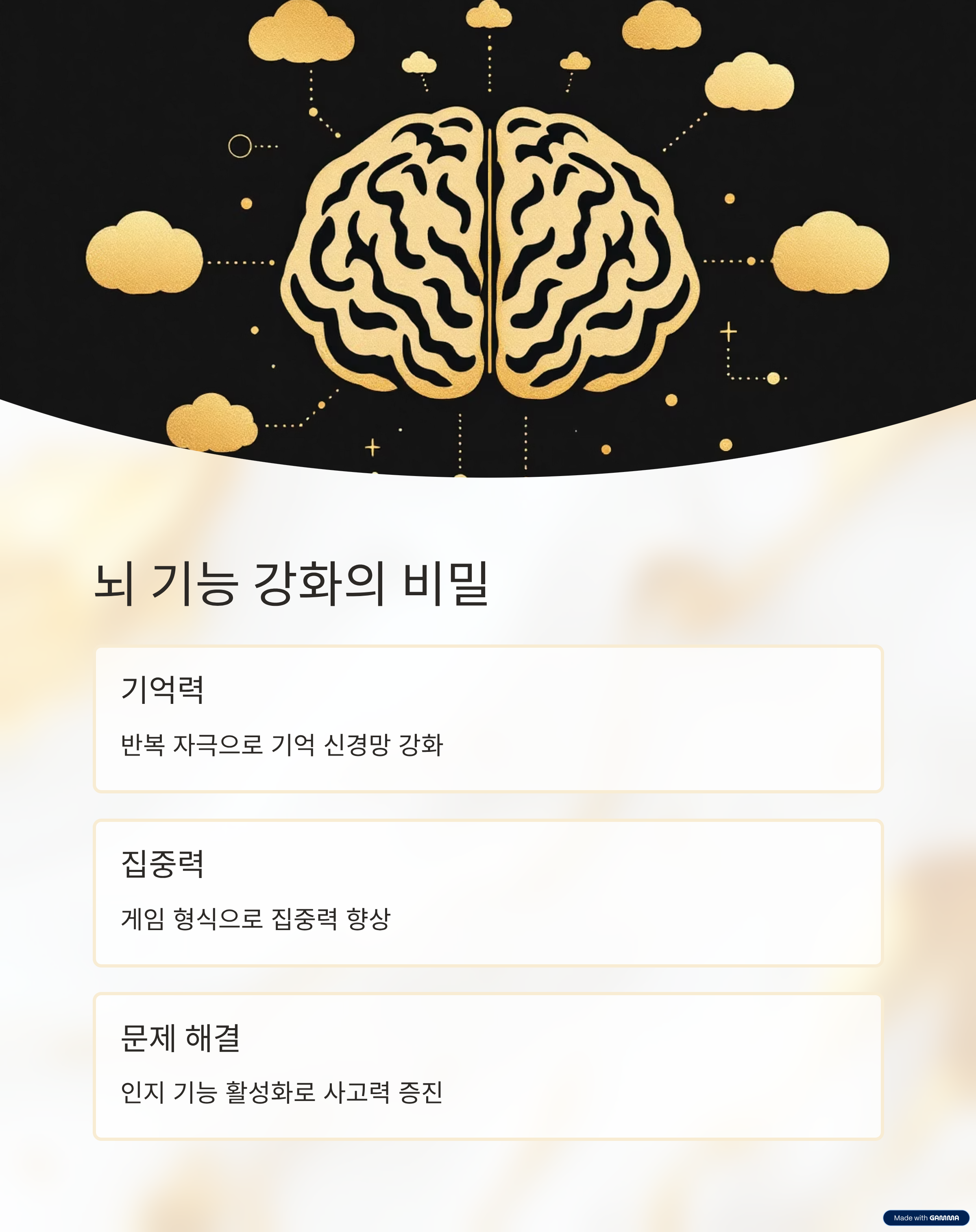 뇌 기능 강화의 비밀