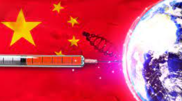 2025년 하반기 중국 바이오 산업 투자 전략