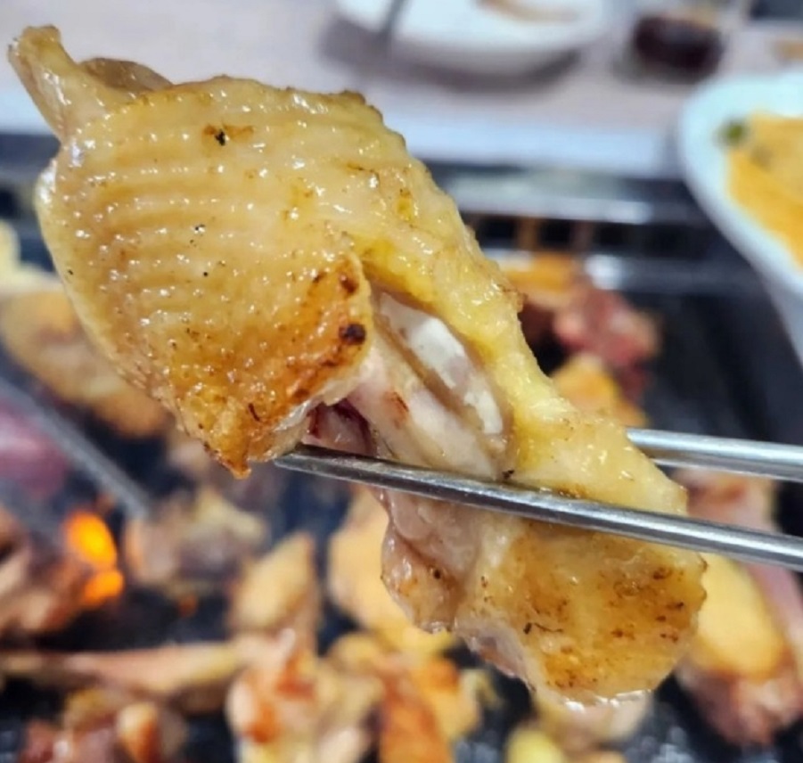 동네한바퀴-영암-토종-닭구이