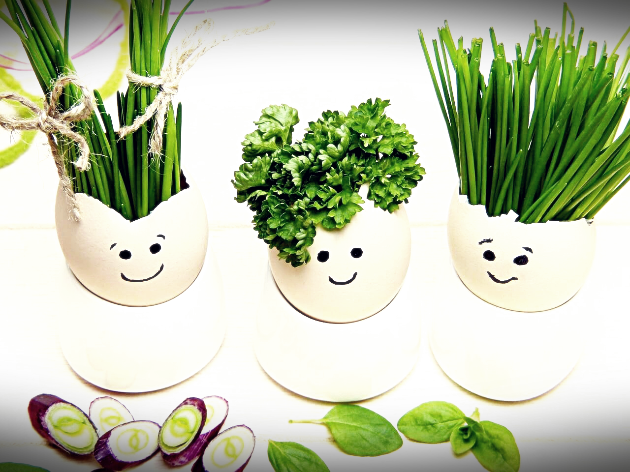 배달 어플 10% 청구할인1