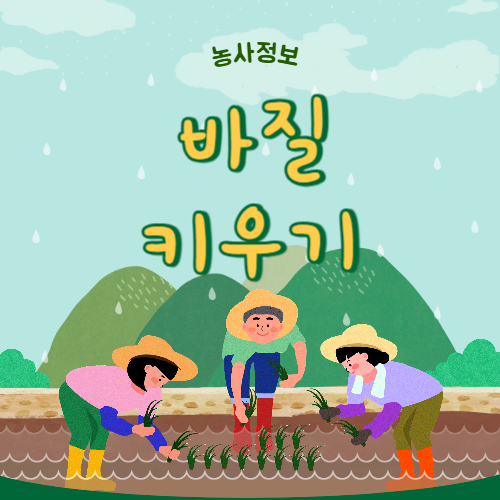 바질 키우기