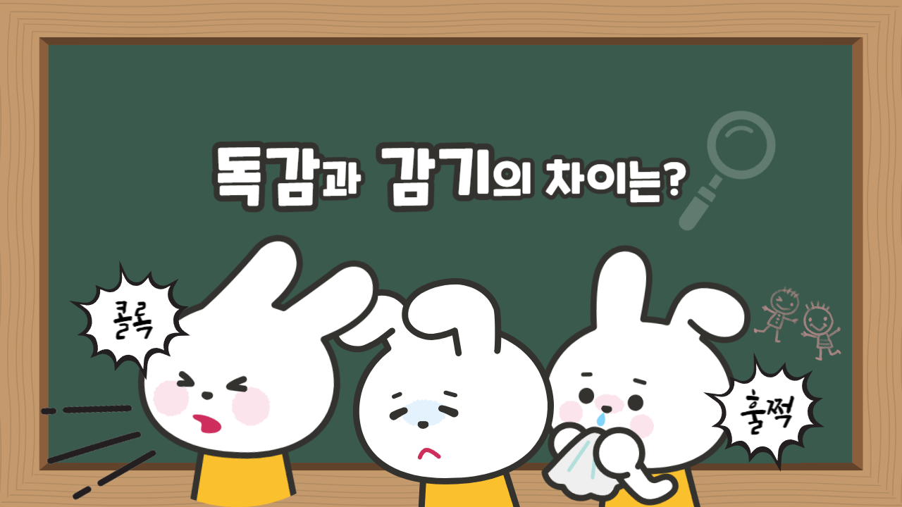 독감과 감기의 차이