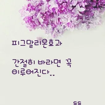 피그말리온효과 뜻 실제 사례 유래 반대 비판_12