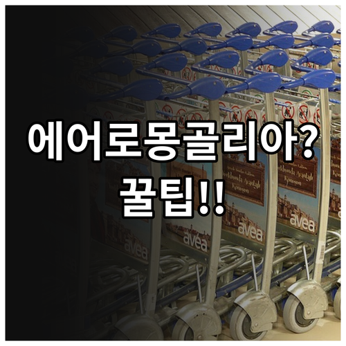 에어로 몽골리아 인천 제1터미널 출발..