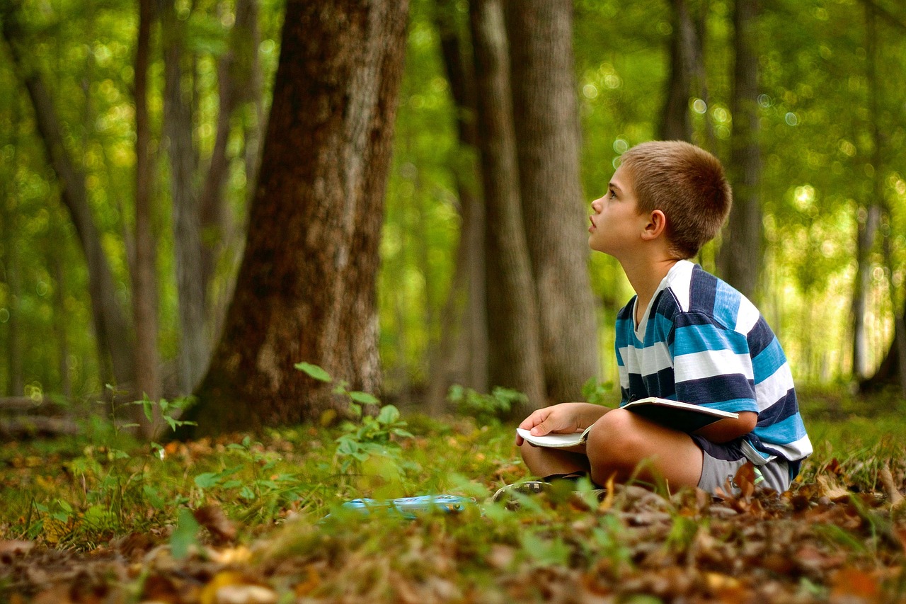 느린 마음의 기술 – 감정을 서두르지 않고 다루는 가장 현실적인 방법