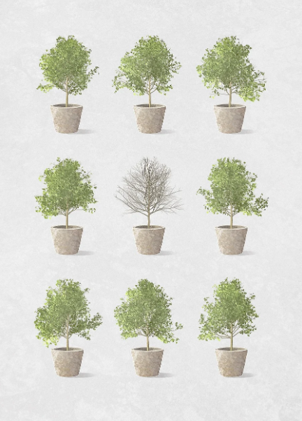 소규모 공간에서 키우기 좋은 희귀 식물 추천과 관리법