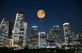 서울달 예약 및 이용방법