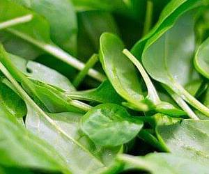 혈관에 좋은 음식 잎 푸른 채소