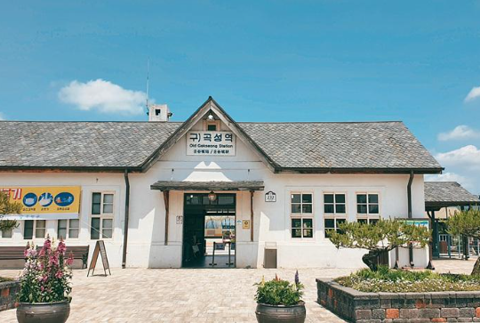 곡성 장미축제 기간