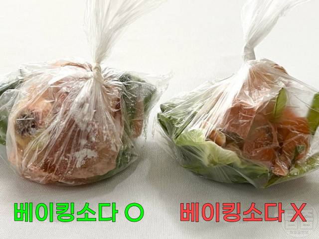 음식쓰레기 냄새 잡는법 음식물처리기