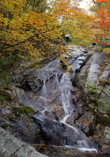 2025 오대산 단풍 절정 시기 공개! 가을 일정 &amp; 인기 등산 코스 TOP 5