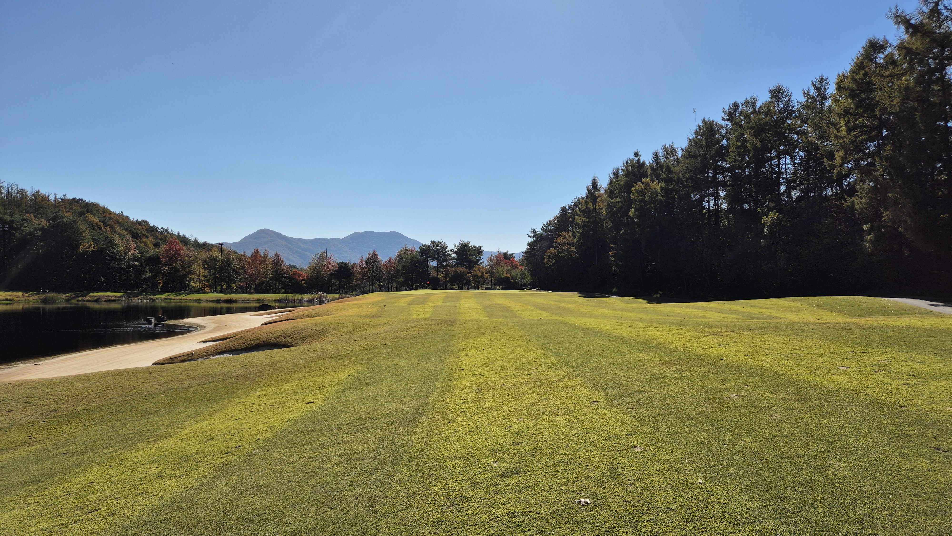 동촌gc 서코스 사진 및 공략 정보
