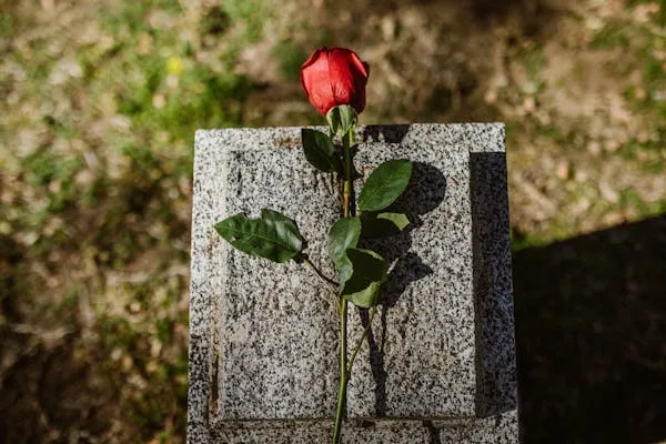 장례식장에서 꼭 알아야 할 예절 가이드