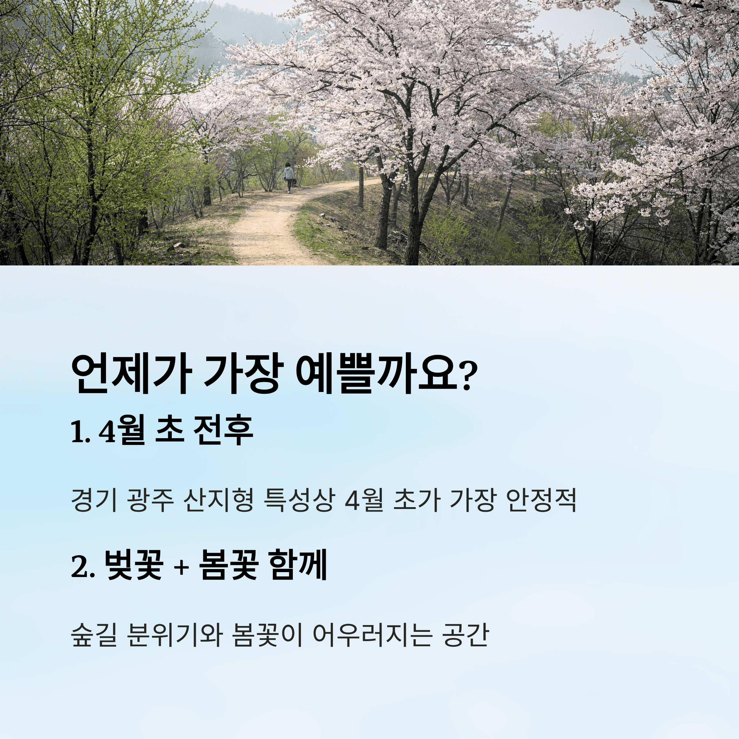 언제가 가장 예쁘다고 봐야 할까요