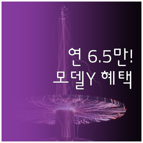 테슬라 모델 YL 자동차세 연 6만5..